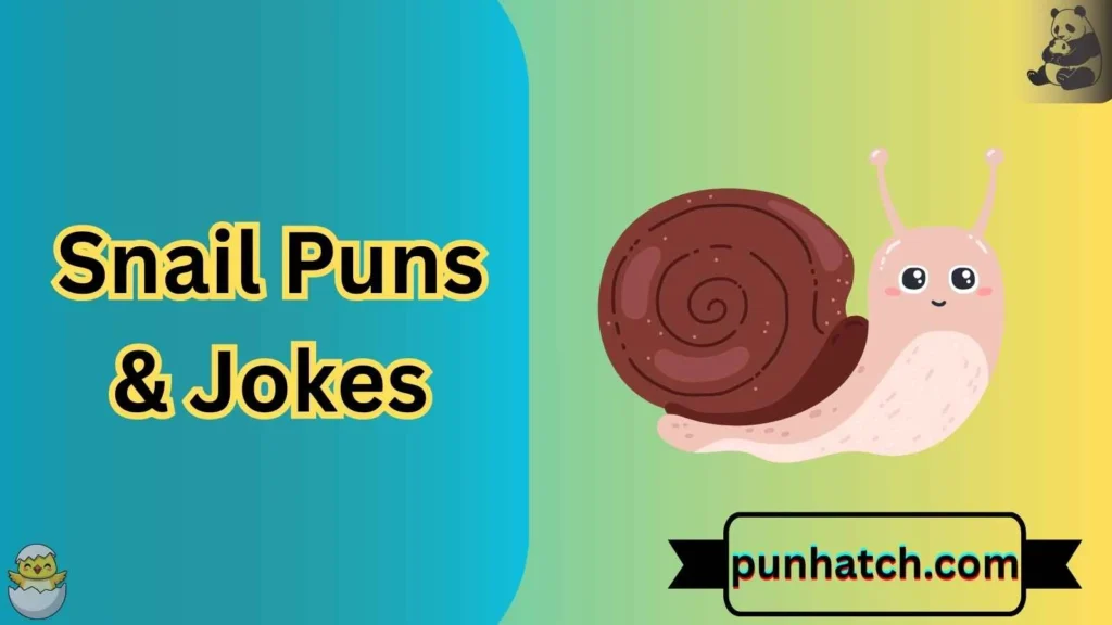 Snail Puns & Jokes